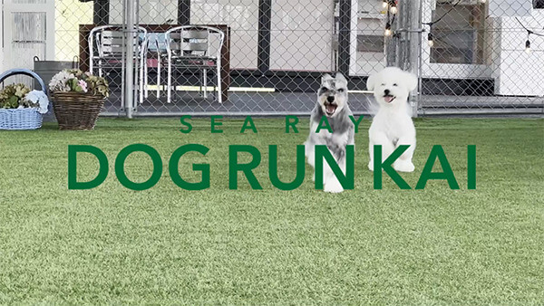 岡山で雨の日に遊べる室内ドッグラン：DOG RUN KAI